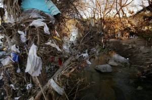 Ban On Plastic Grocery Bags Gaining Momentum