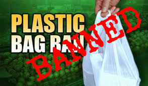 Reusable Shopping Bags Encouraged Despite Ban