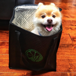 Insulated Tote